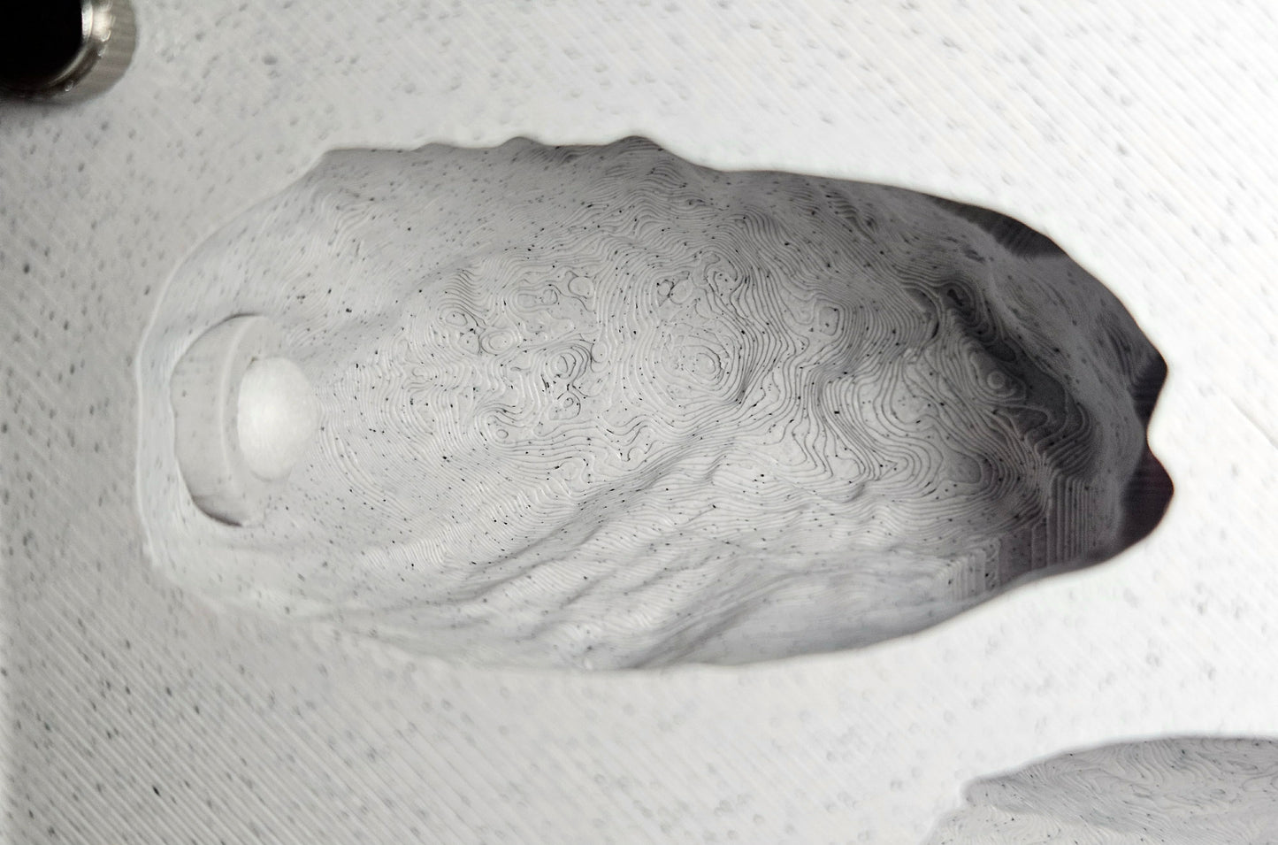 Expandable Medium Vertical Nests